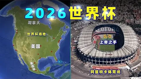佩德裏：深度揭秘其个人资料